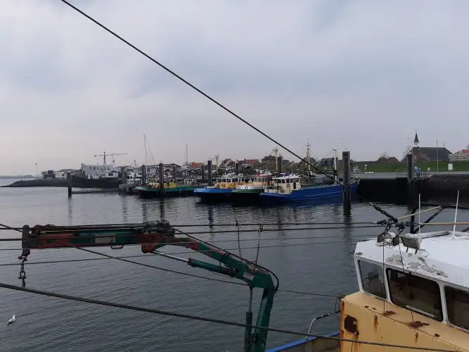 Navio de pesca de arrasto à venda