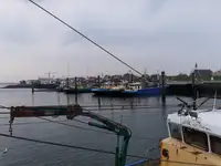 Navio de pesca de arrasto à venda
