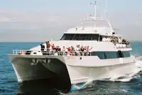 Catamarã à venda