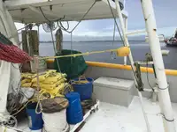 Navio de pesca de arrasto à venda