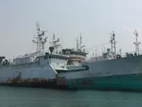 Navio de pesca de linha de mão à venda