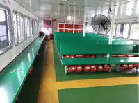 Navio de transporte de passageiros (Ferry) à venda