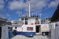 Catamarã à venda