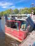 Navio transportador de peixes vivos à venda