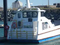 Balsa de desembarque, tanque à venda