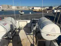 Barcos de trabalho à venda