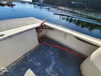 Navio de processamento de peixe à venda