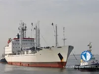 Navio frigorífico à venda