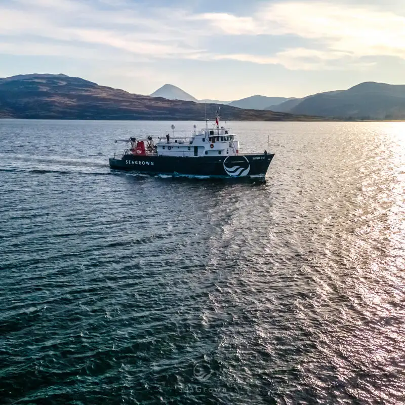 Navio de pesquisa à venda