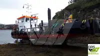 Barcos de trabalho à venda