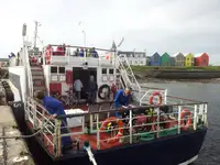 Navio de cruzeiro à venda