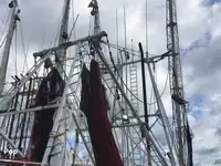 Navio de pesca de arrasto à venda