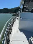 Catamarã à venda