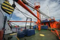 Navio porta-contêineres à venda
