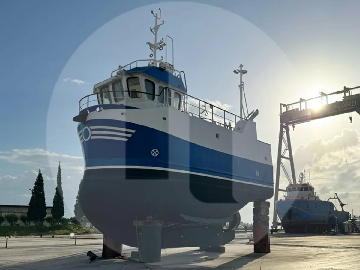 Navio transportador de peixes vivos à venda