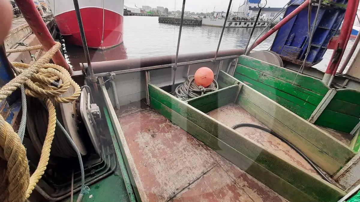 Navio transportador de peixes vivos à venda