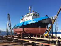 Barcos de trabalho à venda