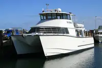 Catamarã à venda