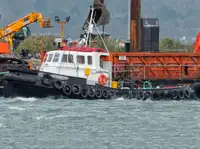 Barcos de trabalho à venda