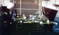 Barcos de trabalho à venda