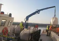 Barcos de trabalho à venda