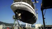 Navio de transporte de passageiros (Ferry) à venda