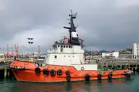 Rebocador à venda