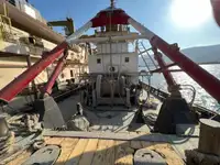 Barcos de trabalho à venda