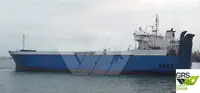 Ro-Ro ship à venda