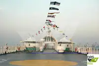 Navio Ro-Ro à venda