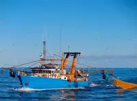 Trawler à venda