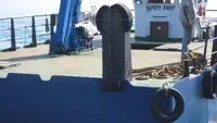 Barcos de trabalho à venda