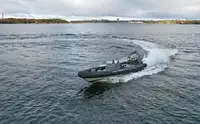 Barco inflável rígido à venda