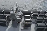 Bote inflável rígido à venda