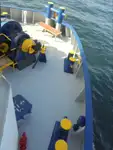 Navio frigorífico à venda