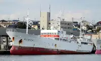Trawler à venda