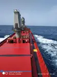 Navio graneleiro à venda