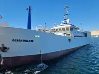Longliner à venda