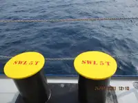 Navio frigorífico à venda