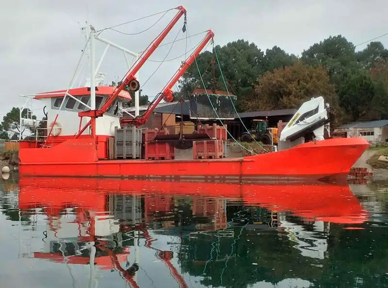 Barcos de trabalho à venda