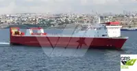 Ro-Ro ship à venda