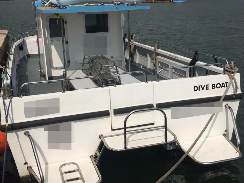 Barcos de trabalho à venda