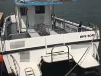 Barcos de trabalho à venda