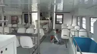 Catamarã à venda