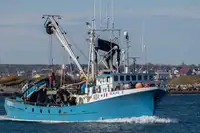Navio de pesca de cerco à venda