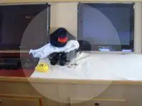 Navio de pesca de arrasto à venda