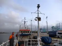 Barcos de trabalho à venda