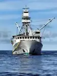 Navio de pesca de cerco à venda