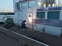 Barcos de trabalho à venda