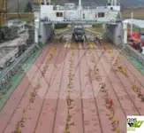 Navio Ro-Ro à venda